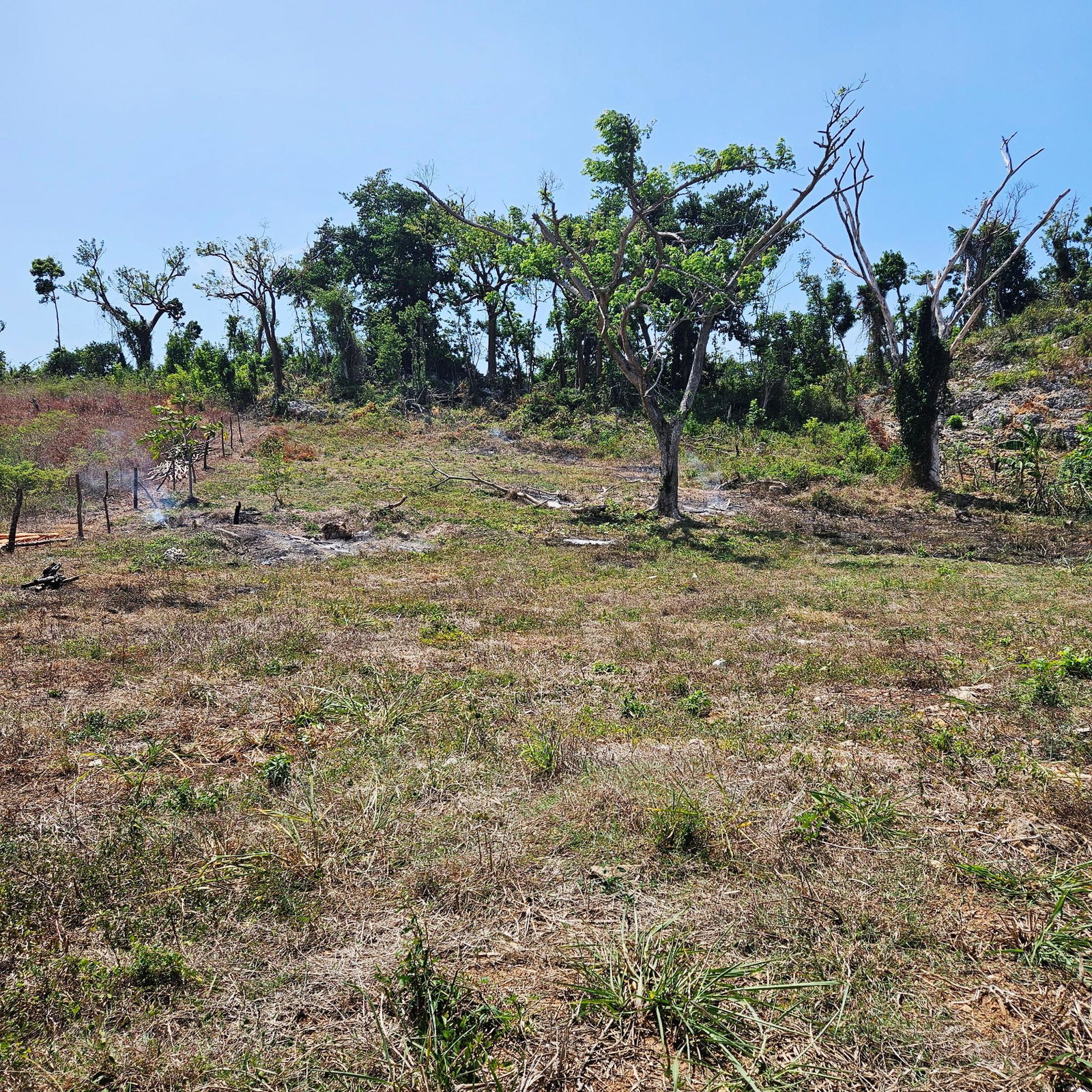 Fourth image of Lot-33 Cardiff Hall Plantation in Runaway Bay, St. Ann, Jamaica - property is For Sale
