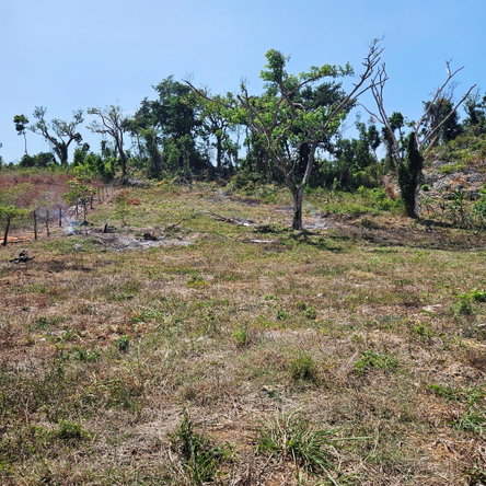 Fourth image of Lot-33 Cardiff Hall Plantation in Runaway Bay, St. Ann, Jamaica - property is For Sale