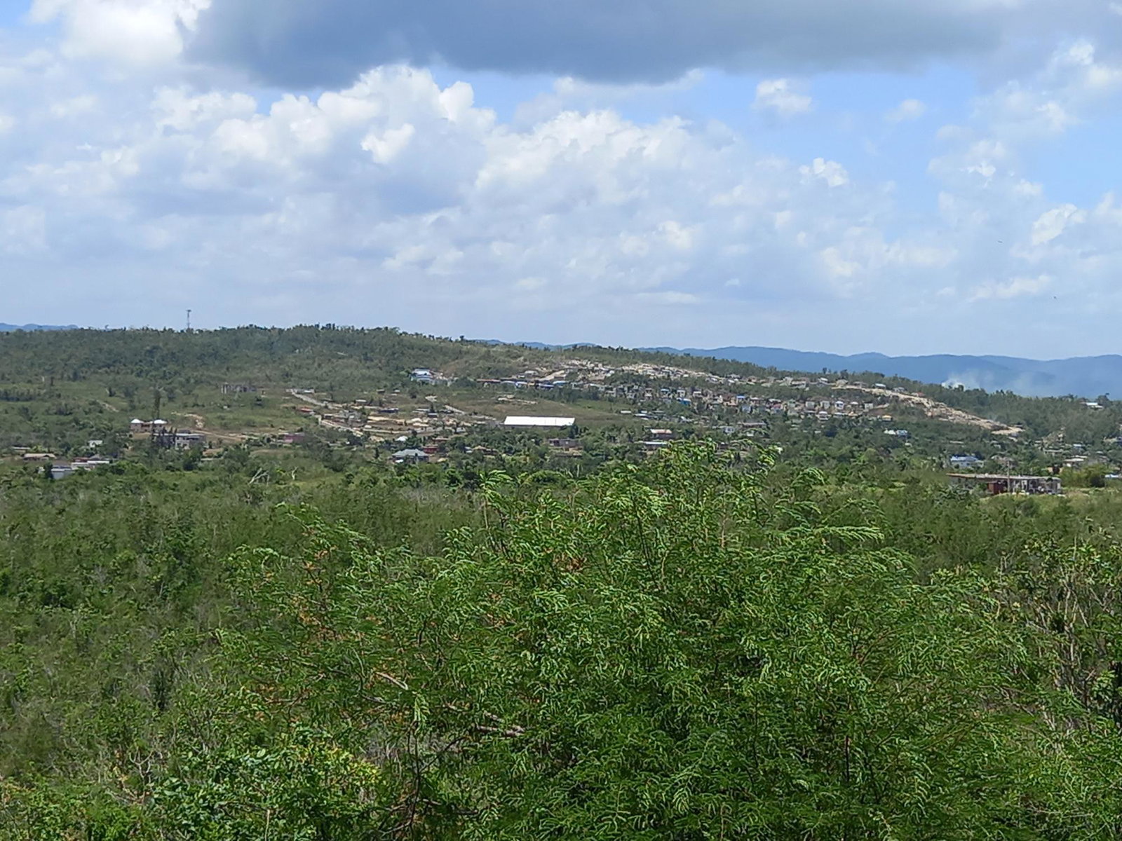 First image of 233 Coconut Grove, Trelawny in Green Park, Trelawny, Jamaica - property is For Sale