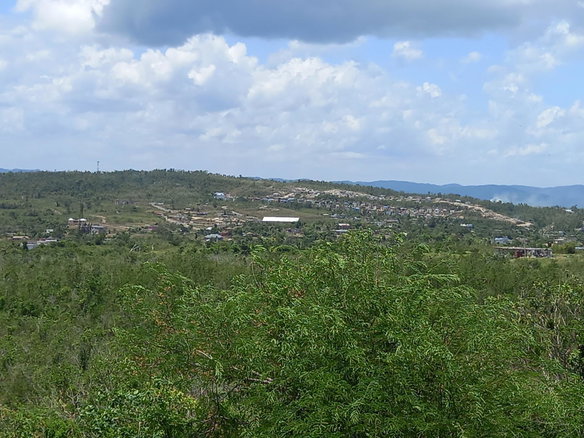 First image of 233 Coconut Grove, Trelawny in Green Park, Trelawny, Jamaica - property is For Sale