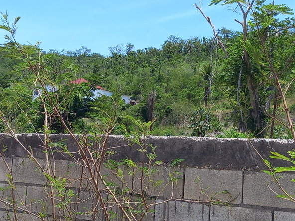 Second image of 233 Coconut Grove, Trelawny in Green Park, Trelawny, Jamaica - property is For Sale