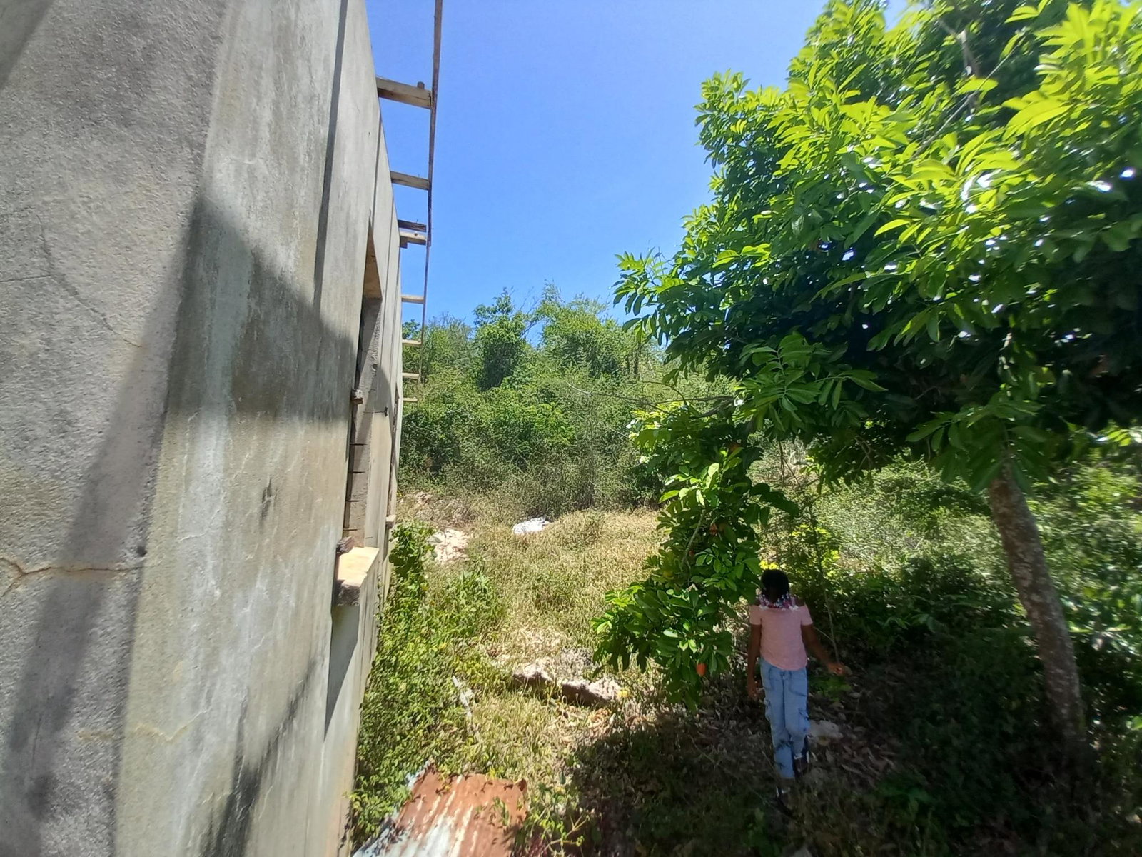 Third image of 233 Coconut Grove, Trelawny in Green Park, Trelawny, Jamaica - property is For Sale