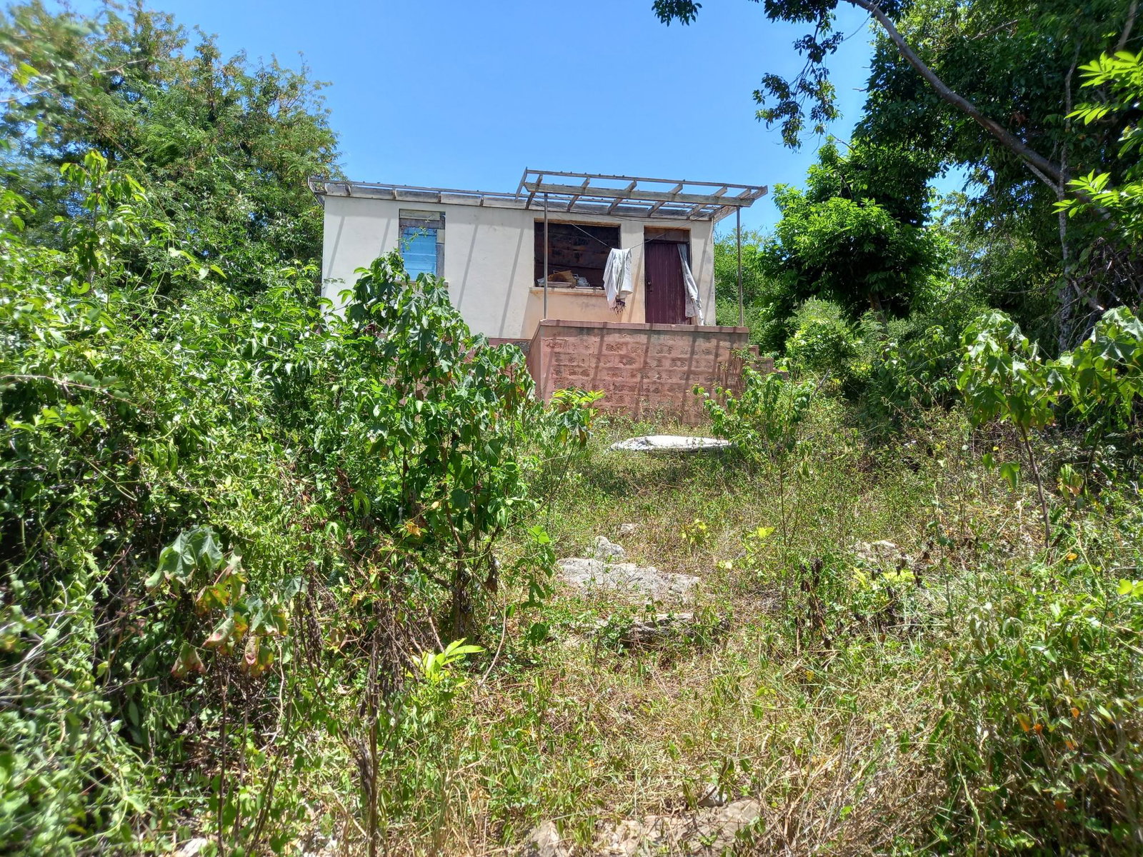 Sixth image of 233 Coconut Grove, Trelawny in Green Park, Trelawny, Jamaica - property is For Sale