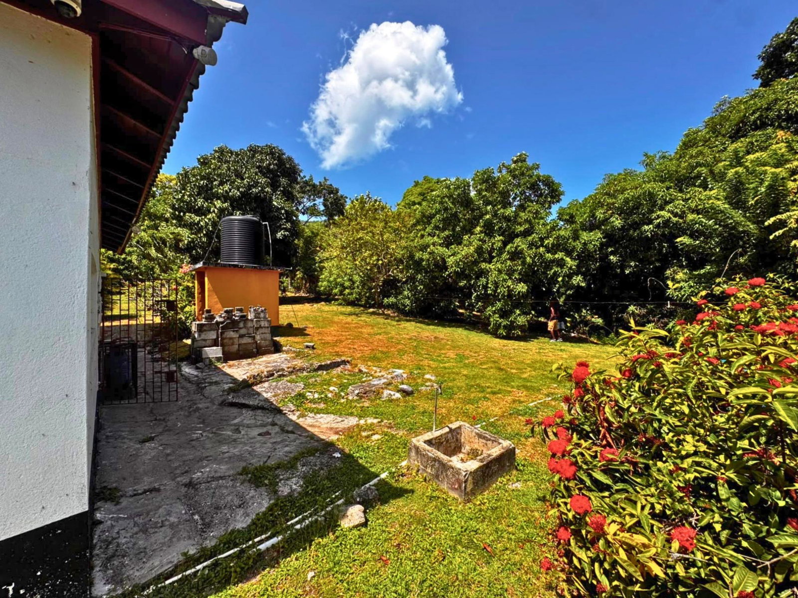 Eighteenth image of 4 Hart Hill in Hart Hill, Portland, Jamaica - property is For Sale
