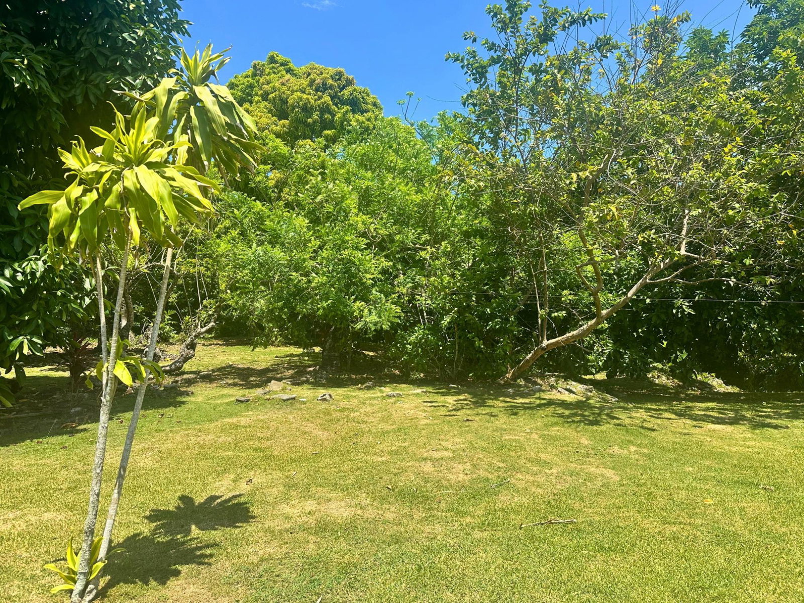 Nineteenth image of 4 Hart Hill in Hart Hill, Portland, Jamaica - property is For Sale