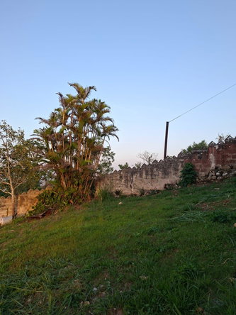 Twenty-Fifth image of 1- Struan Castle Christiana in Straun Meadows, Manchester, Jamaica - property is For Rent