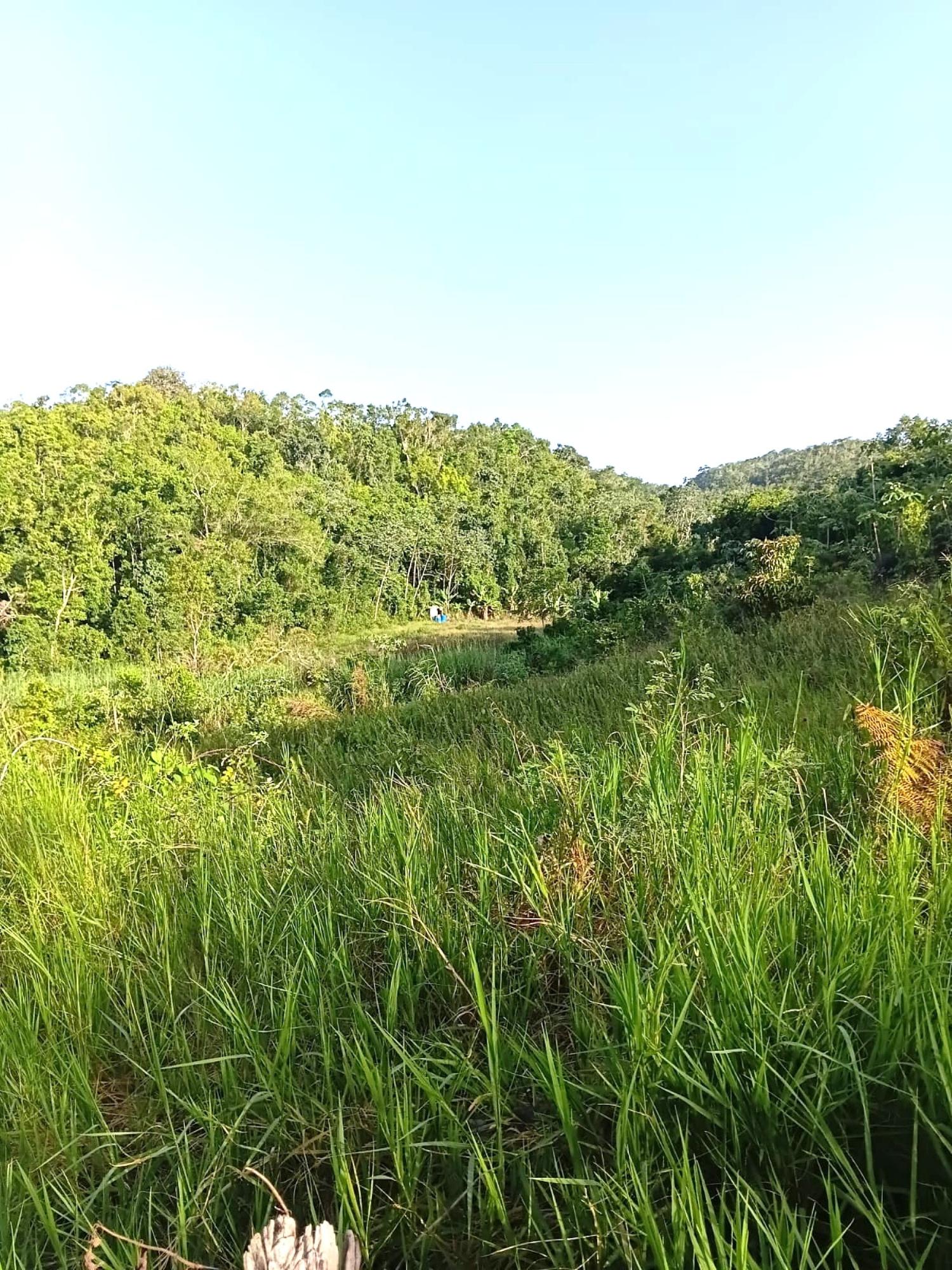 First image of Hopeton Road in Hatfield, Manchester, Jamaica - property is For Sale
