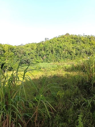 Second image of Hopeton Road in Hatfield, Manchester, Jamaica - property is For Sale
