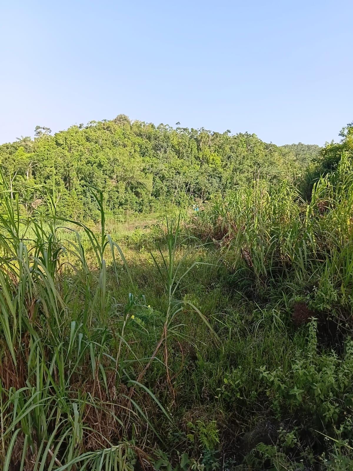 Third image of Hopeton Road in Hatfield, Manchester, Jamaica - property is For Sale