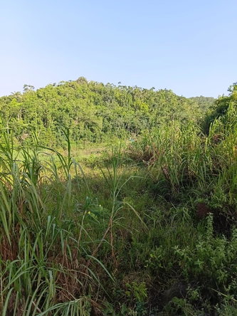 Third image of Hopeton Road in Hatfield, Manchester, Jamaica - property is For Sale
