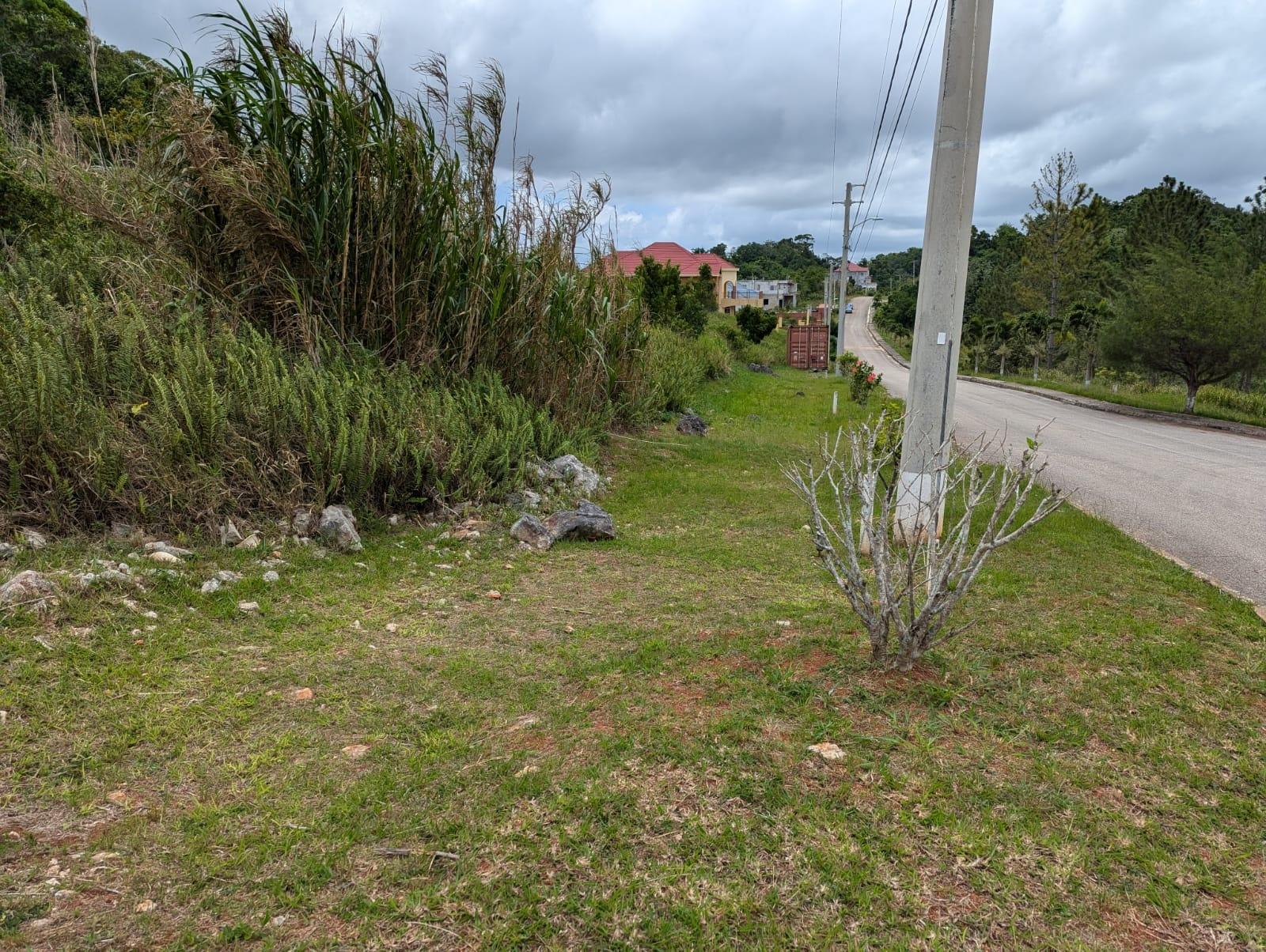 Second image of Lot 139 Moorlands Manor in Mandeville, Manchester, Jamaica - property is For Sale