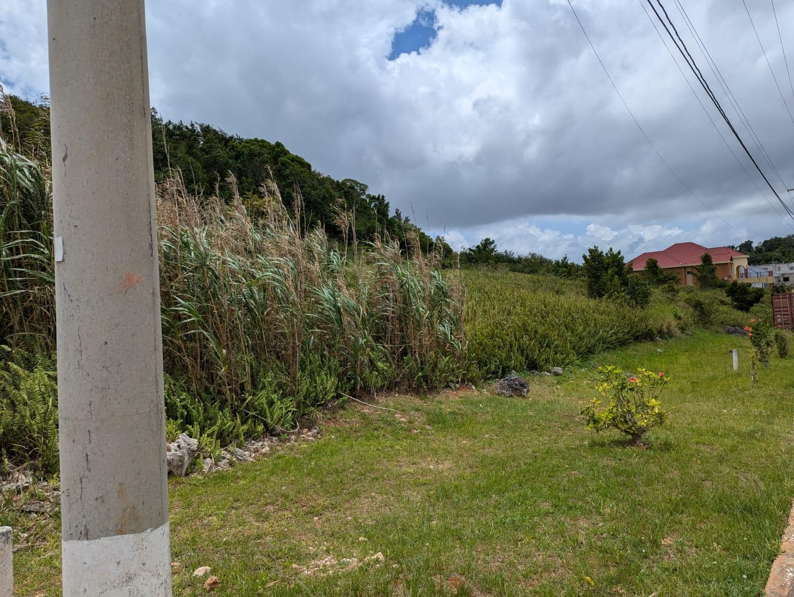 Sixth image of Lot 139 Moorlands Manor in Mandeville, Manchester, Jamaica - property is For Sale