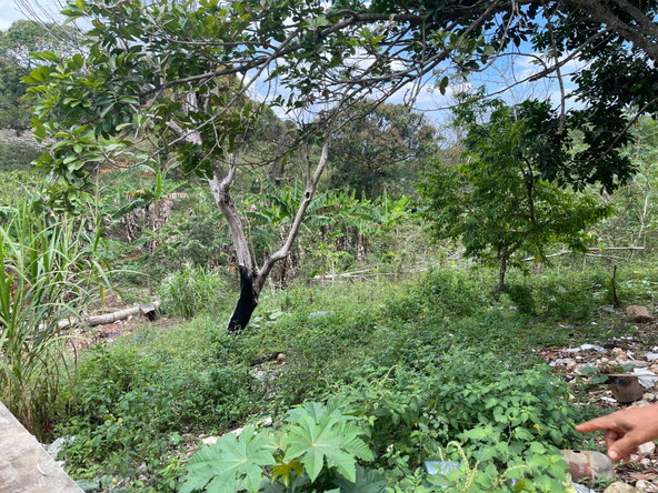 Second image of Roseberry, Malvern St. el in Malvern, St. Elizabeth, Jamaica - property is For Sale