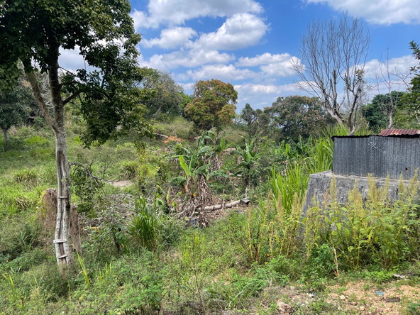 Third image of Roseberry, Malvern St. el in Malvern, St. Elizabeth, Jamaica - property is For Sale