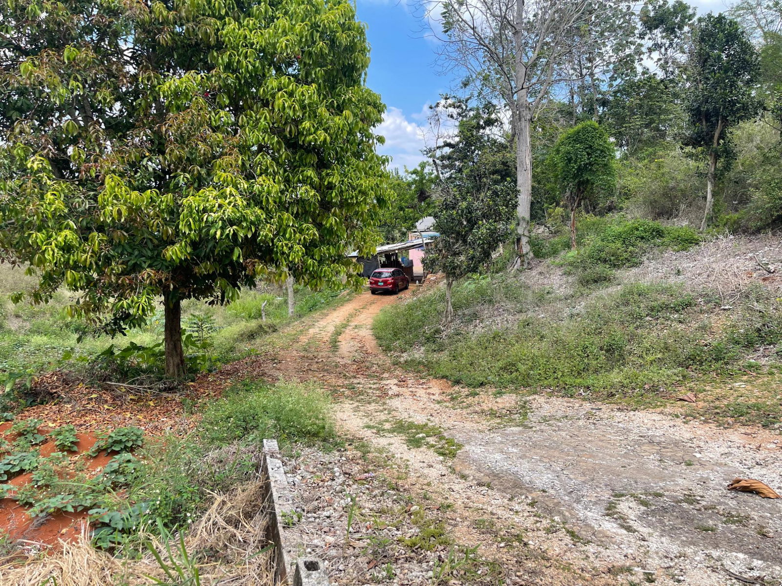 Seventh image of Roseberry, Malvern St. el in Malvern, St. Elizabeth, Jamaica - property is For Sale