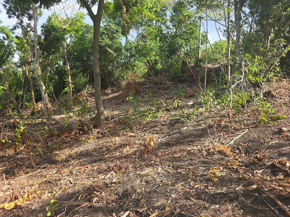 Tenth image of Draxhall in Drax Hall Estate, St. Ann, Jamaica - property is For Sale