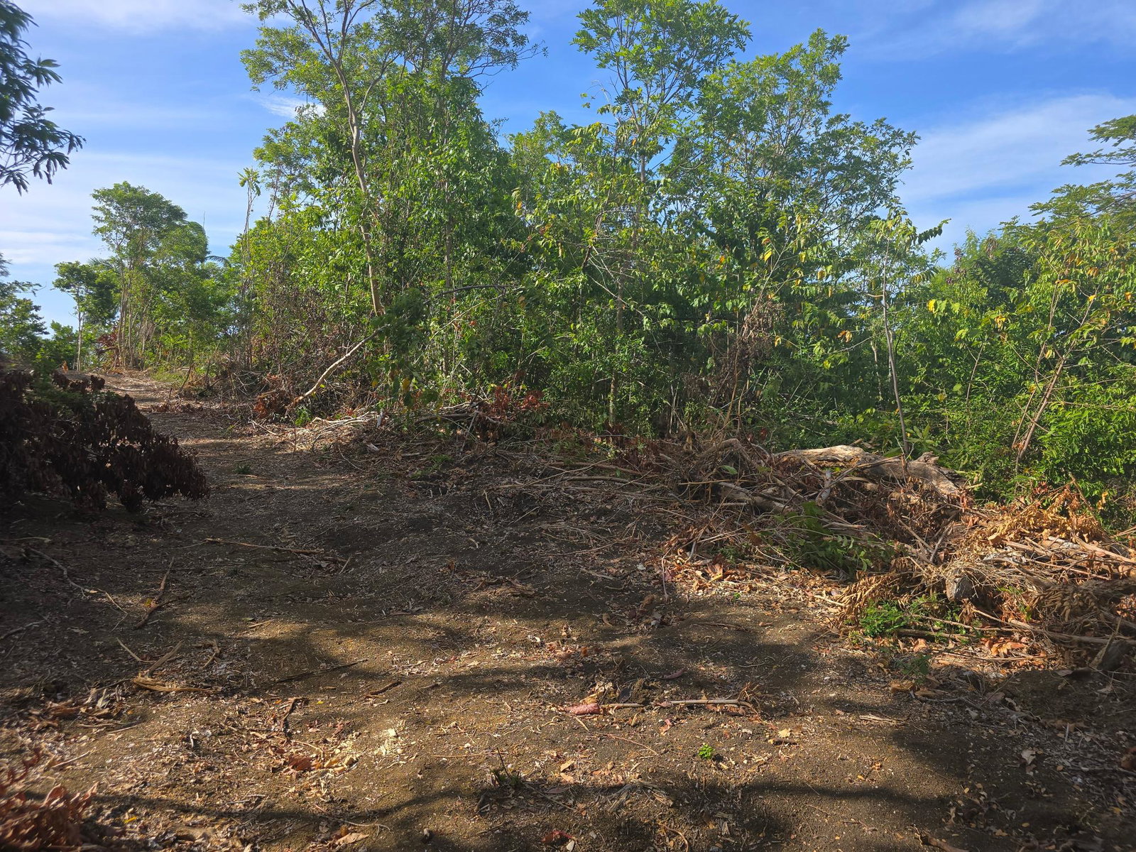 Eleventh image of Draxhall in Drax Hall Estate, St. Ann, Jamaica - property is For Sale