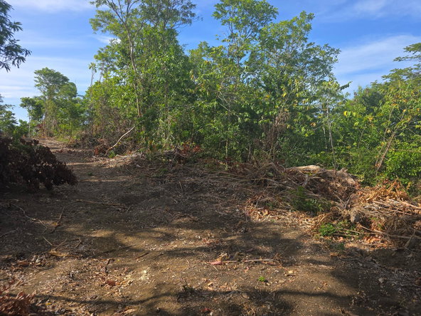 Eleventh image of Draxhall in Drax Hall Estate, St. Ann, Jamaica - property is For Sale