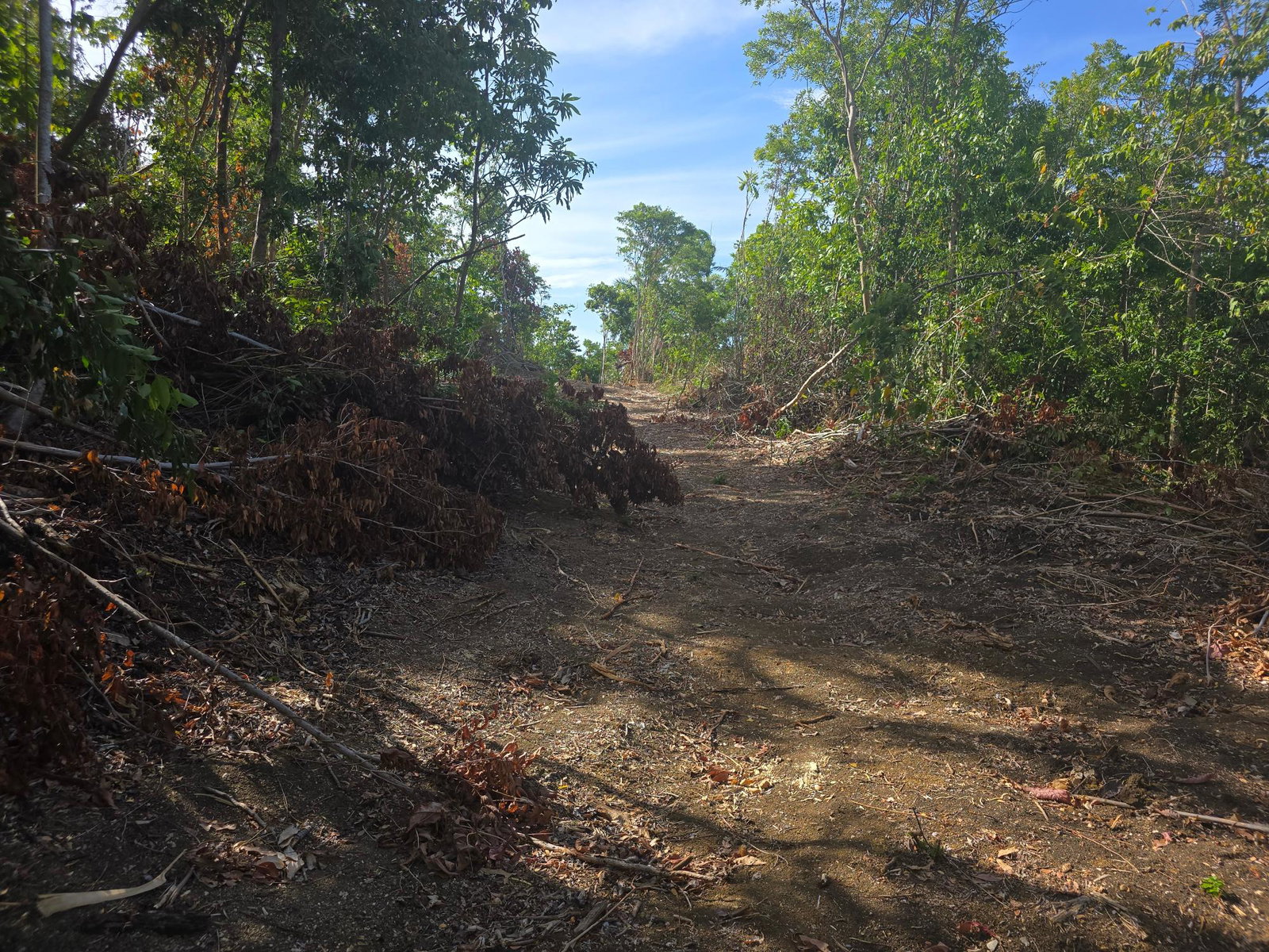 Twelfth image of Draxhall in Drax Hall Estate, St. Ann, Jamaica - property is For Sale