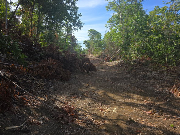 Twelfth image of Draxhall in Drax Hall Estate, St. Ann, Jamaica - property is For Sale