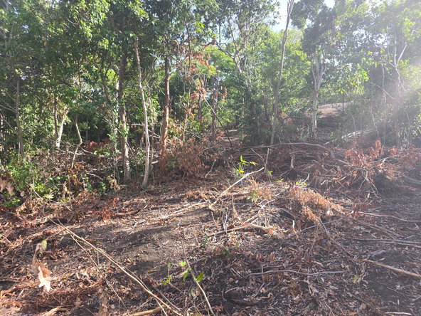 Fourteenth image of Draxhall in Drax Hall Estate, St. Ann, Jamaica - property is For Sale