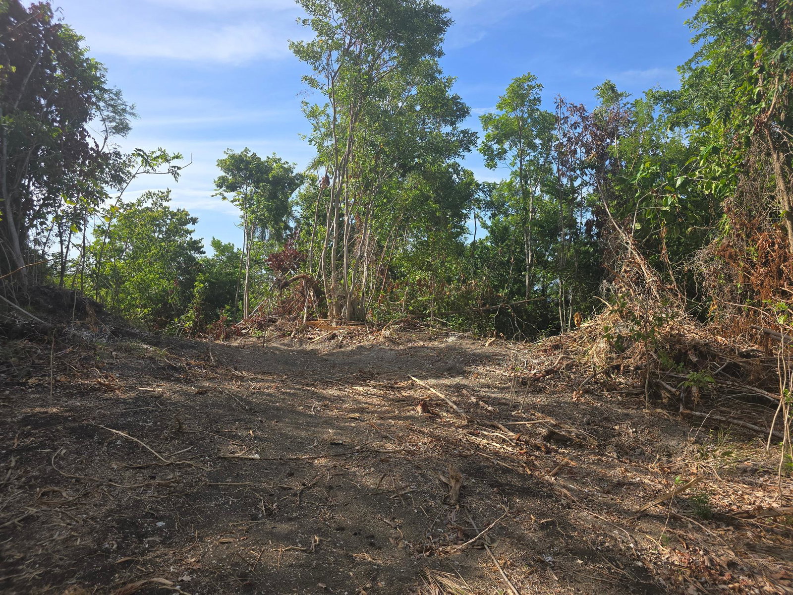 Sixteenth image of Draxhall in Drax Hall Estate, St. Ann, Jamaica - property is For Sale