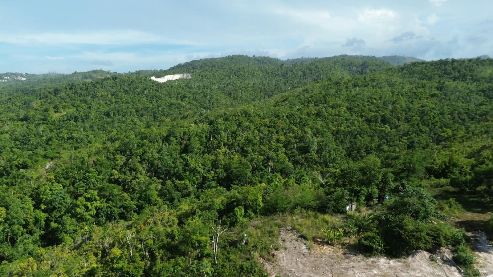 Twenty-Eighth image of Draxhall in Drax Hall Estate, St. Ann, Jamaica - property is For Sale