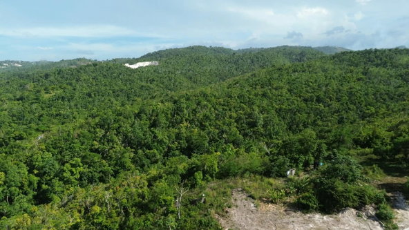 Twenty-Eighth image of Draxhall in Drax Hall Estate, St. Ann, Jamaica - property is For Sale