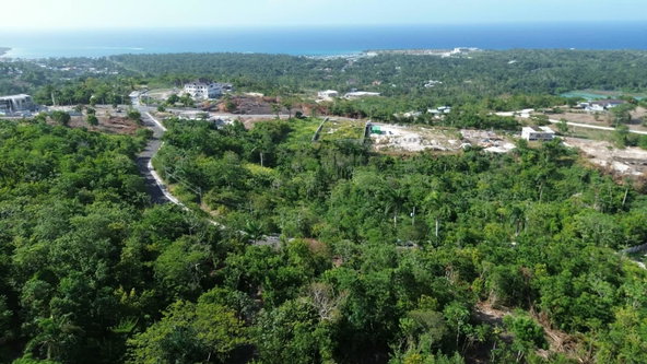 Sixth image of Draxhall in Drax Hall Estate, St. Ann, Jamaica - property is For Sale