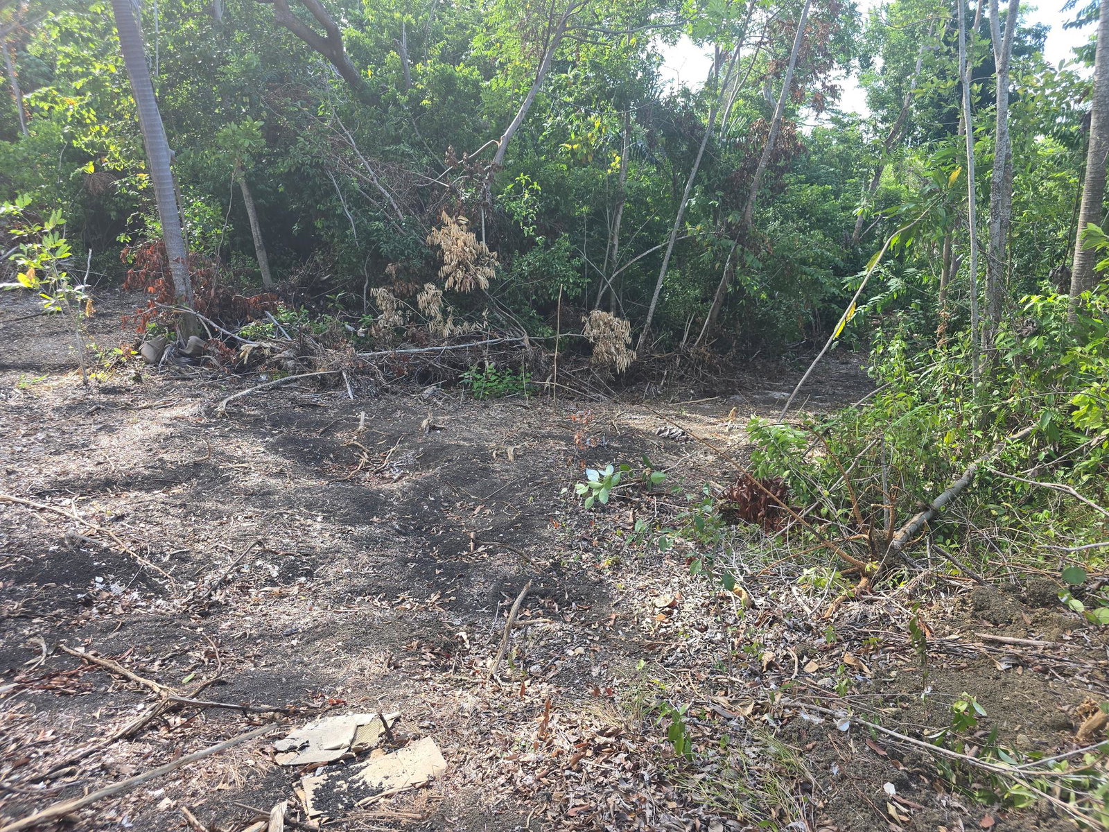 Seventh image of Draxhall in Drax Hall Estate, St. Ann, Jamaica - property is For Sale