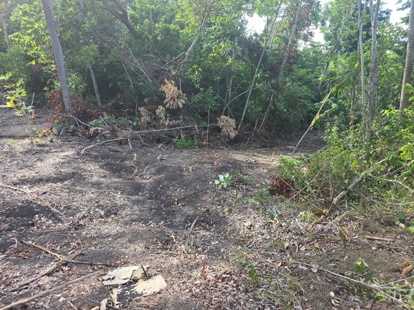 Seventh image of Draxhall in Drax Hall Estate, St. Ann, Jamaica - property is For Sale