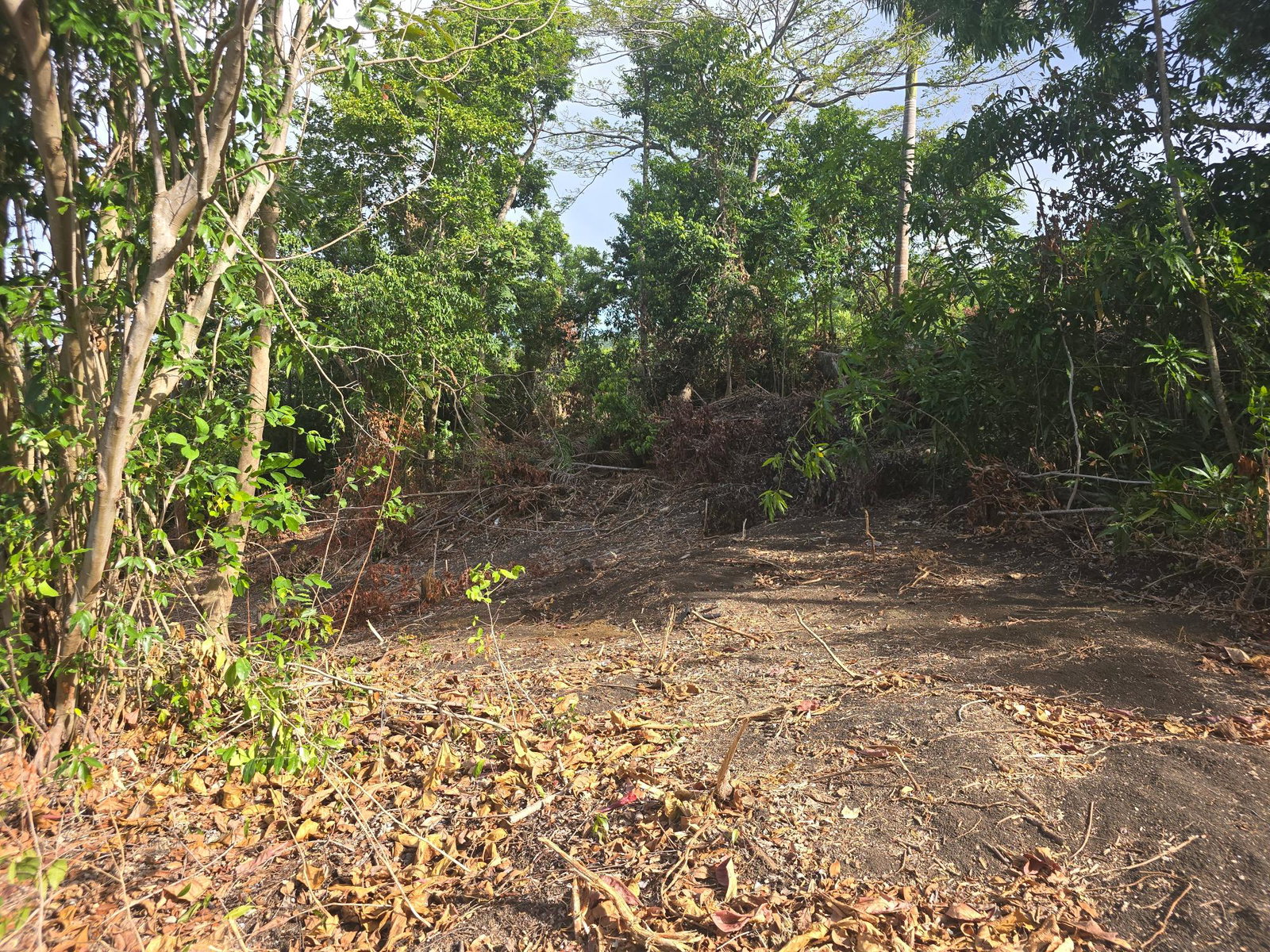 Eighth image of Draxhall in Drax Hall Estate, St. Ann, Jamaica - property is For Sale