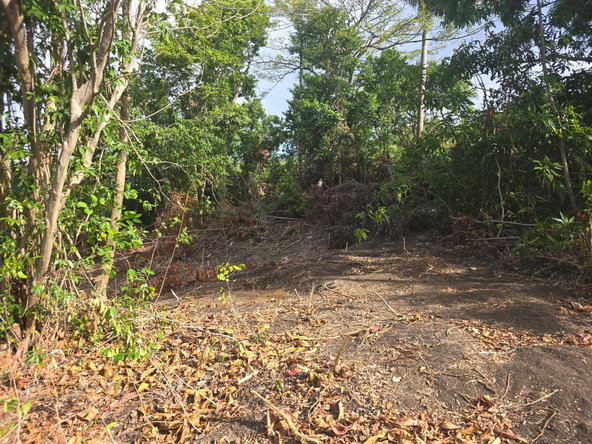 Eighth image of Draxhall in Drax Hall Estate, St. Ann, Jamaica - property is For Sale