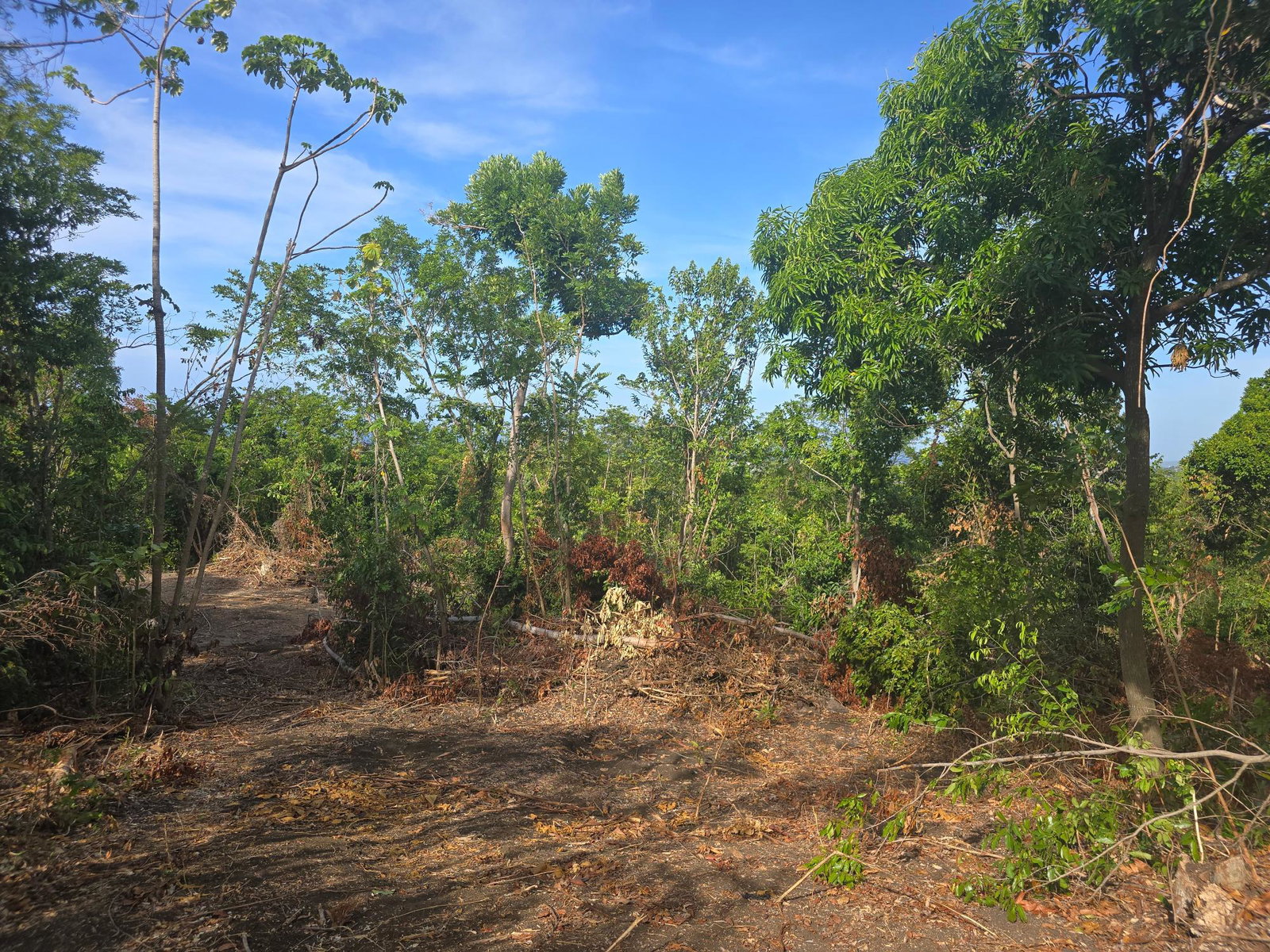 Ninth image of Draxhall in Drax Hall Estate, St. Ann, Jamaica - property is For Sale