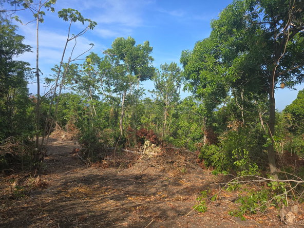 Ninth image of Draxhall in Drax Hall Estate, St. Ann, Jamaica - property is For Sale