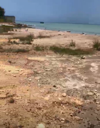 Twelfth image of South Coast Beach Lot in Black River, St. Elizabeth, Jamaica - property is For Sale