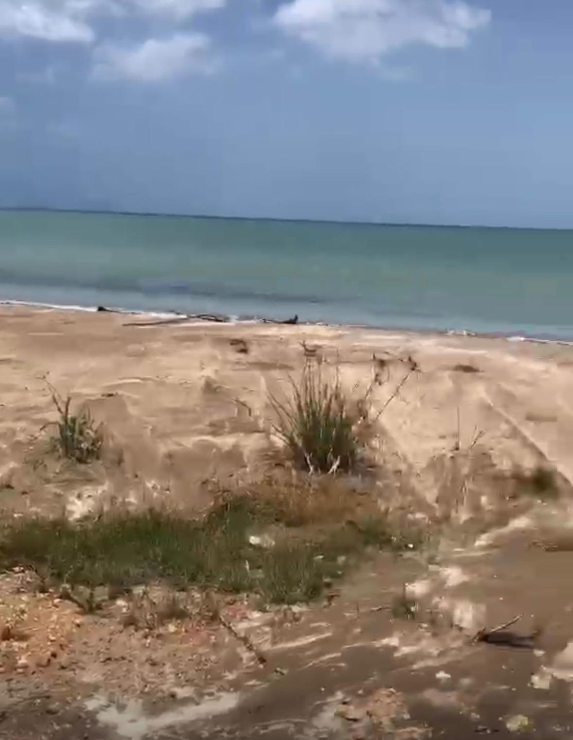Thirteenth image of South Coast Beach Lot in Black River, St. Elizabeth, Jamaica - property is For Sale