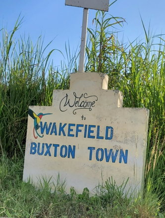 First image of Wakefield District in Bog Walk, St. Catherine, Jamaica - property is For Sale