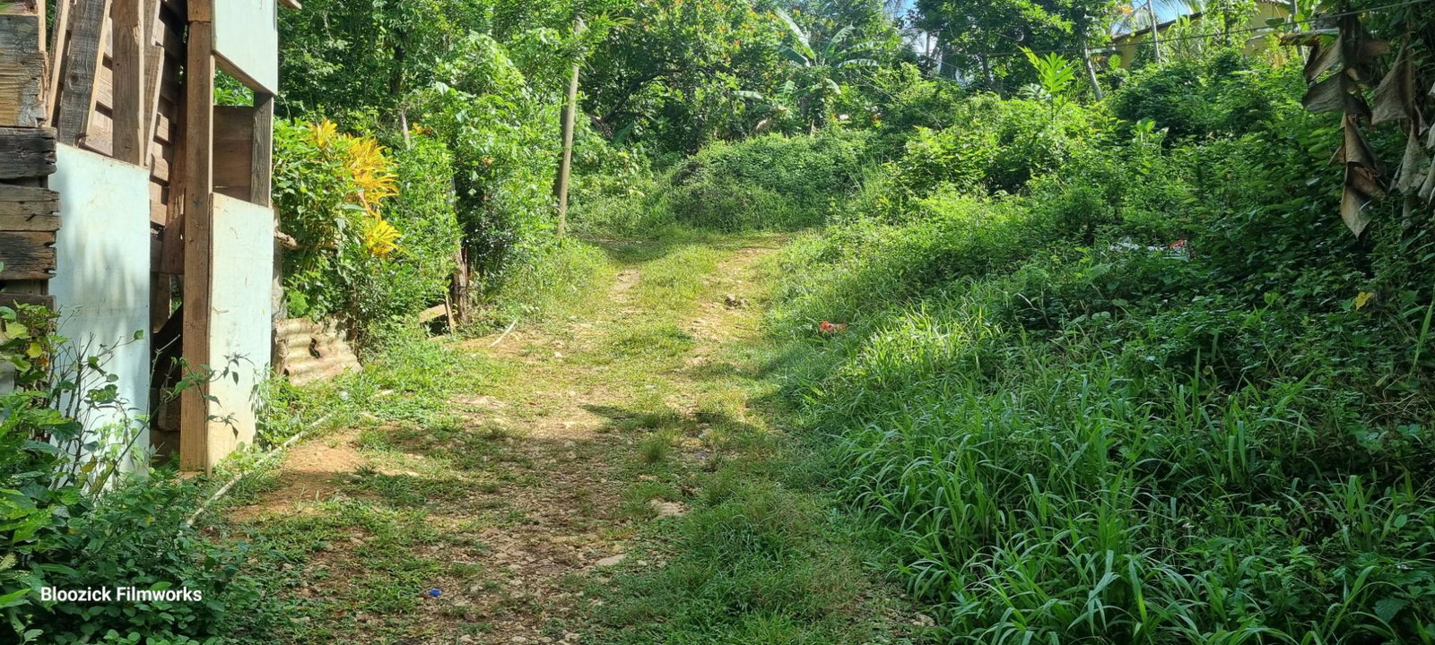 Fourth image of Wakefield District in Bog Walk, St. Catherine, Jamaica - property is For Sale