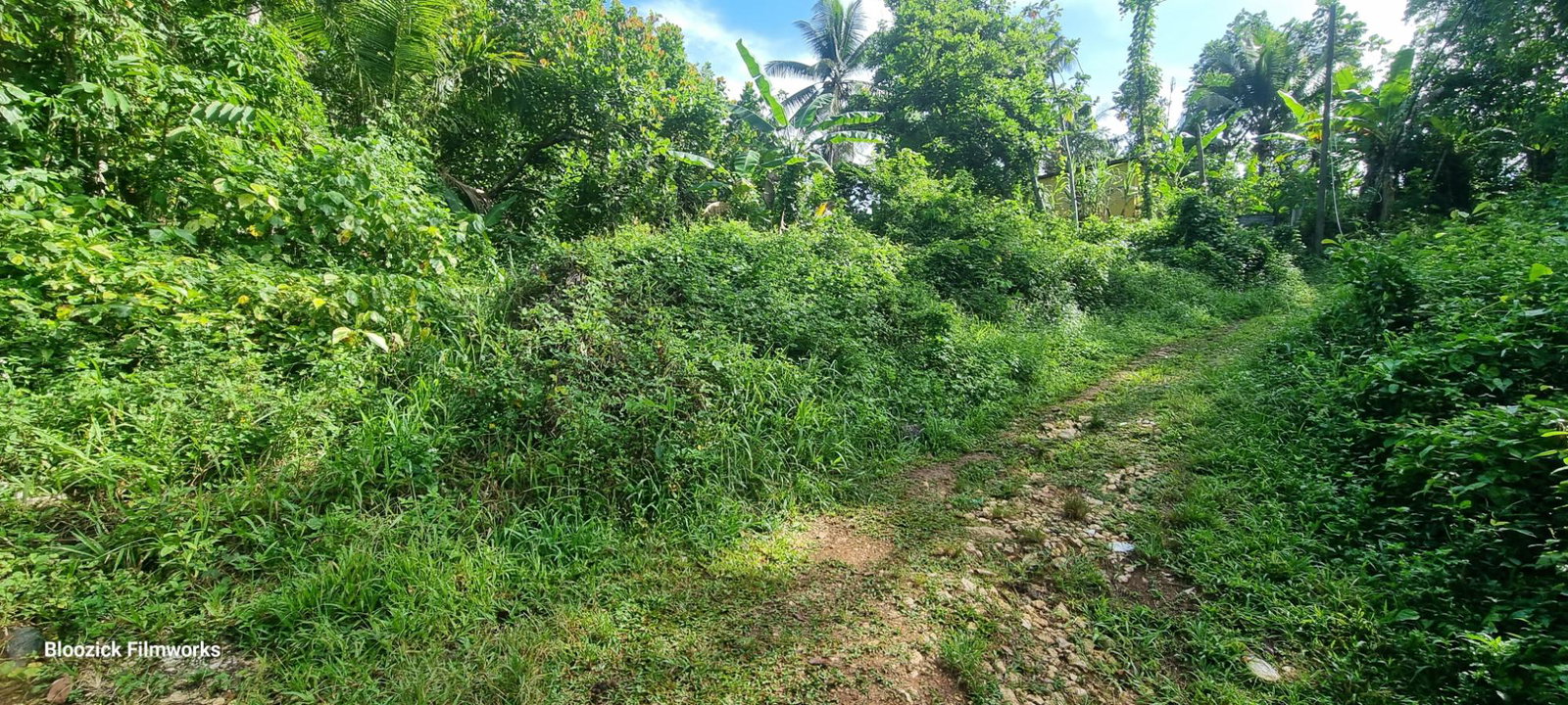 Fifth image of Wakefield District in Bog Walk, St. Catherine, Jamaica - property is For Sale