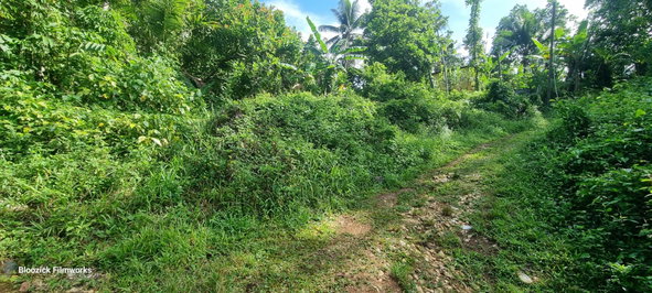 Fifth image of Wakefield District in Bog Walk, St. Catherine, Jamaica - property is For Sale