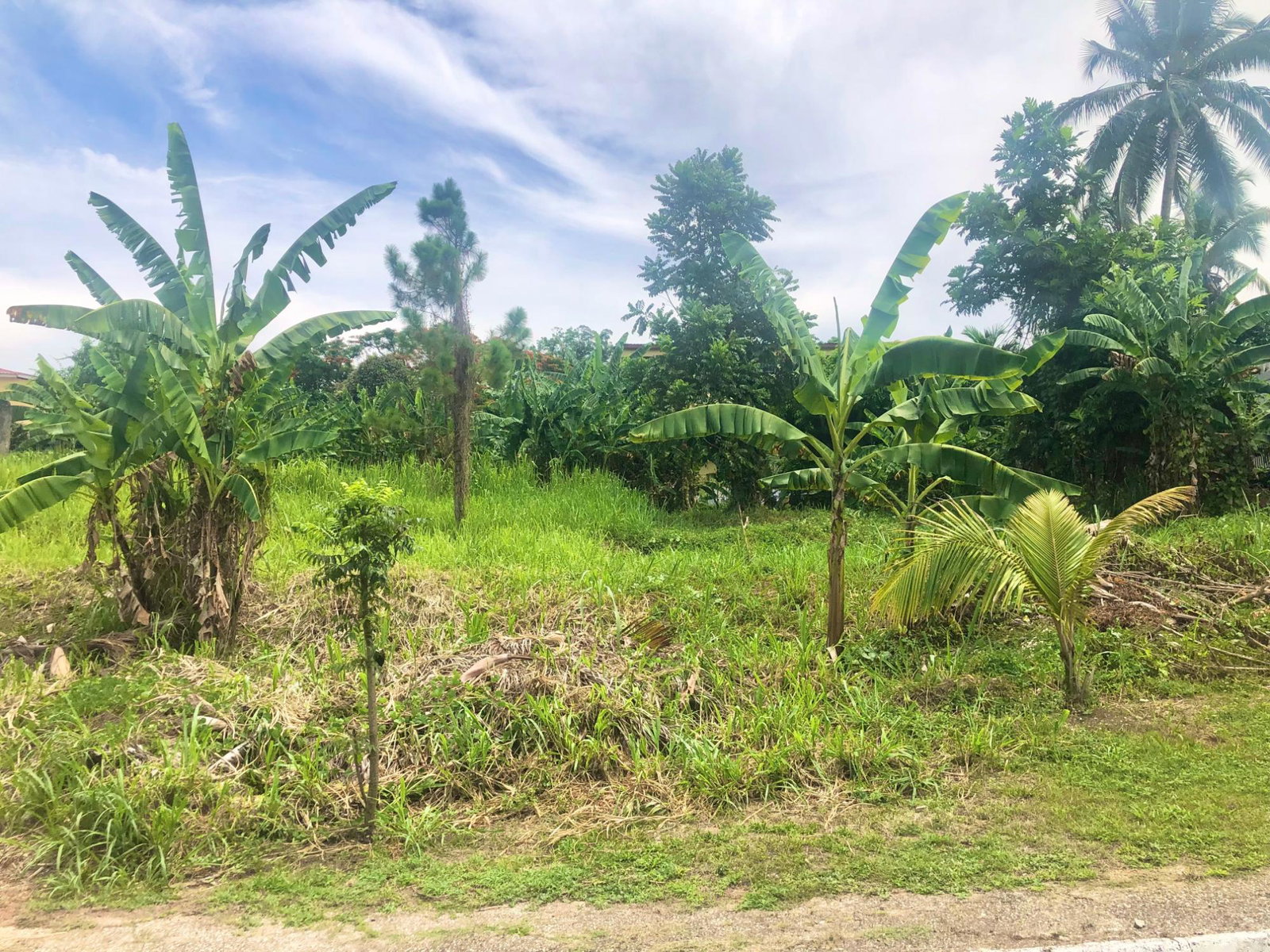 Third image of Lot 5 Fort George Heights in Kingston 9, St. Andrew, Jamaica - property is For Sale