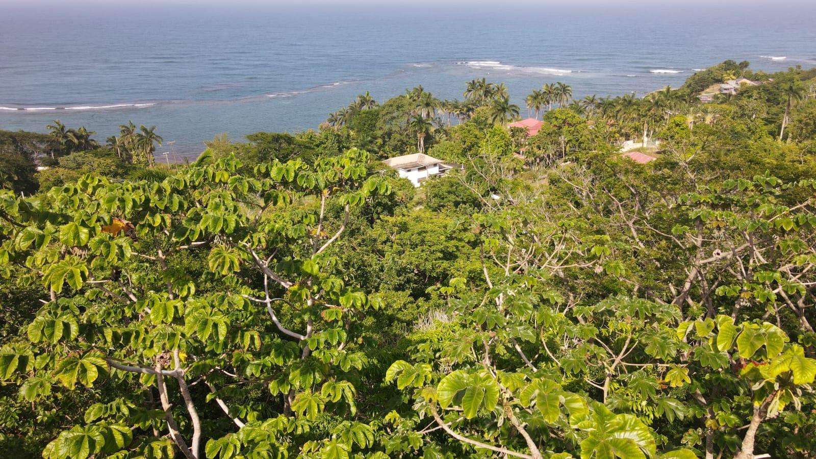 Fourth image of Little Bay Port Maria in Little Bay, St. Mary, Jamaica - property is For Sale