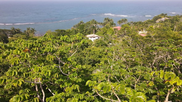 Fourth image of Little Bay Port Maria in Little Bay, St. Mary, Jamaica - property is For Sale