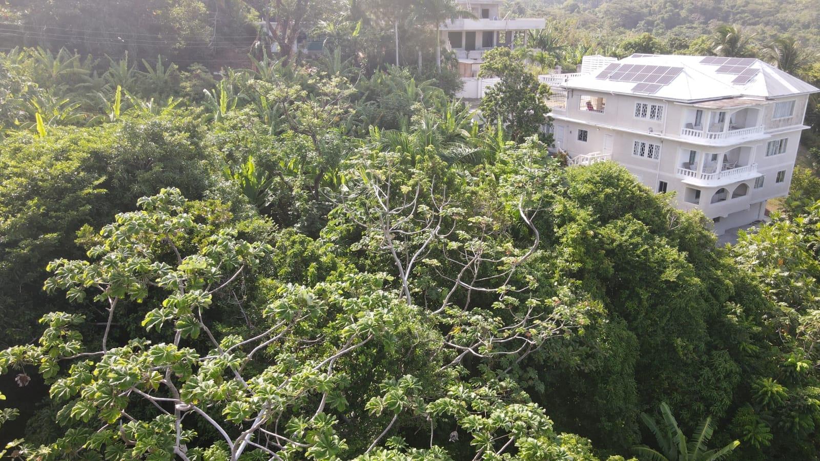 Sixth image of Little Bay Port Maria in Little Bay, St. Mary, Jamaica - property is For Sale