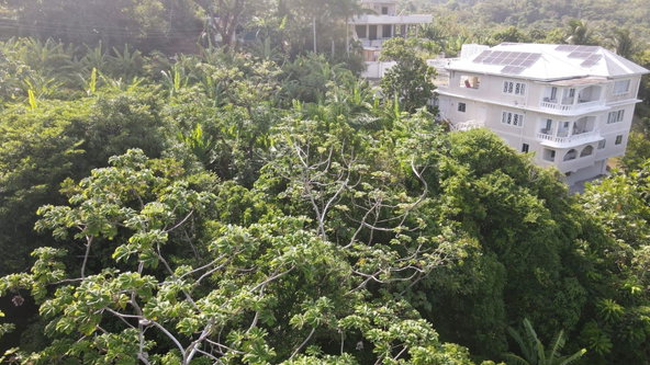 Sixth image of Little Bay Port Maria in Little Bay, St. Mary, Jamaica - property is For Sale
