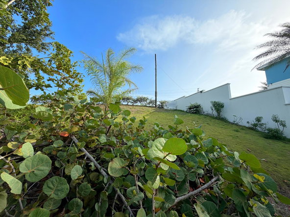 Fourth image of Boscobel in Boscobel, St. Mary, Jamaica - property is For Sale