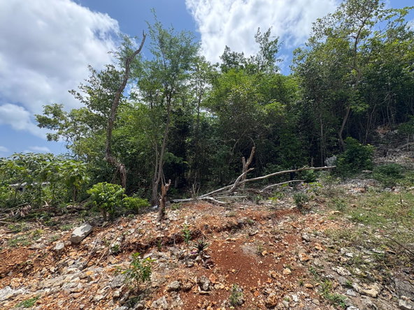 First image of 33- Huddersfield in Huddersfield Heights, St. Mary, Jamaica - property is For Sale