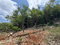 First image of 33- Huddersfield in Huddersfield Heights, St. Mary, Jamaica - property is For Sale