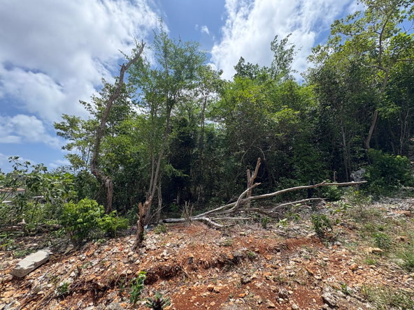 Third image of 33- Huddersfield in Huddersfield Heights, St. Mary, Jamaica - property is For Sale
